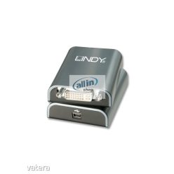LINDY USB 2.0 / DVI-VGA ADAPTER