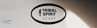 Tribal Spirit Plate lánc kiváló minőségű rozsdamentes acélból 18 karátos aranyozott 